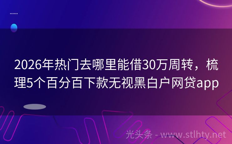 2026年热门去哪里能借30万周转，梳理5个百分百下款无视黑白户网贷app