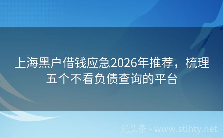 上海黑户借钱应急2026年推荐，梳理五个不看负债查询的平台