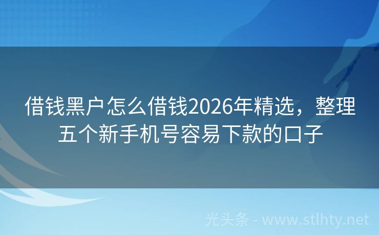 借钱黑户怎么借钱2026年精选，整理五个新手机号容易下款的口子
