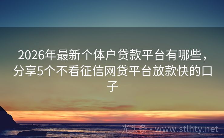 2026年最新个体户贷款平台有哪些，分享5个不看征信网贷平台放款快的口子