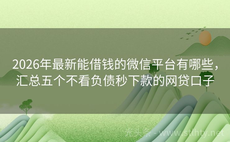 2026年最新能借钱的微信平台有哪些，汇总五个不看负债秒下款的网贷口子