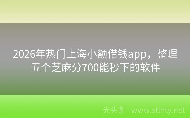 2026年热门上海小额借钱app，整理五个芝麻分700能秒下的软件