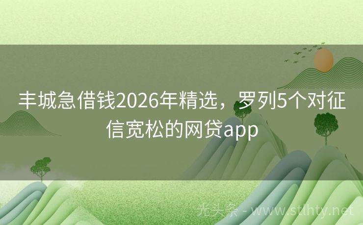 丰城急借钱2026年精选，罗列5个对征信宽松的网贷app