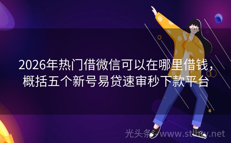 2026年热门借微信可以在哪里借钱，概括五个新号易贷速审秒下款平台