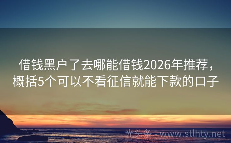 借钱黑户了去哪能借钱2026年推荐，概括5个可以不看征信就能下款的口子