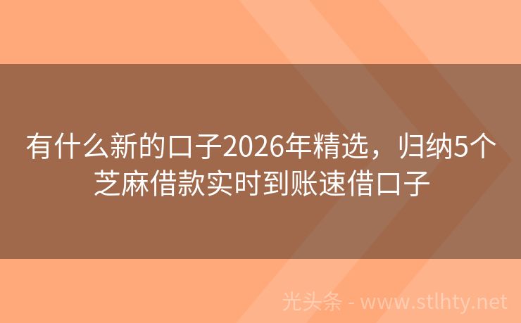 有什么新的口子2026年精选，归纳5个芝麻借款实时到账速借口子