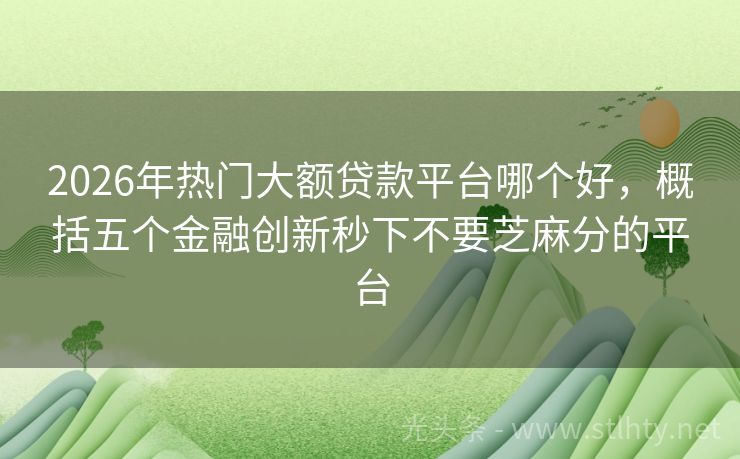 2026年热门大额贷款平台哪个好，概括五个金融创新秒下不要芝麻分的平台
