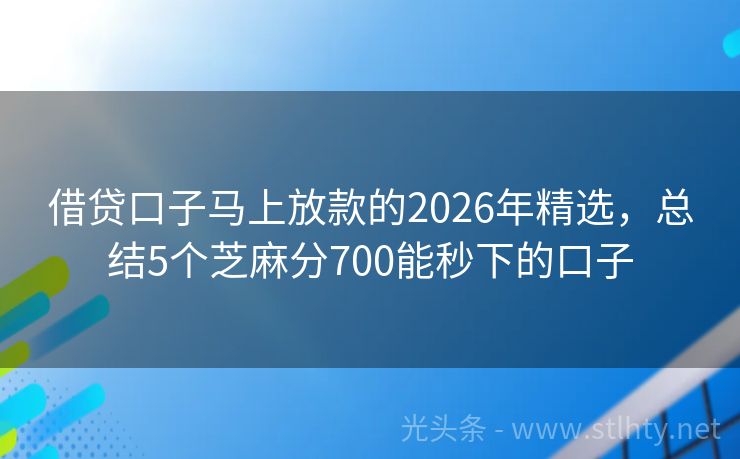 借贷口子马上放款的2026年精选，总结5个芝麻分700能秒下的口子