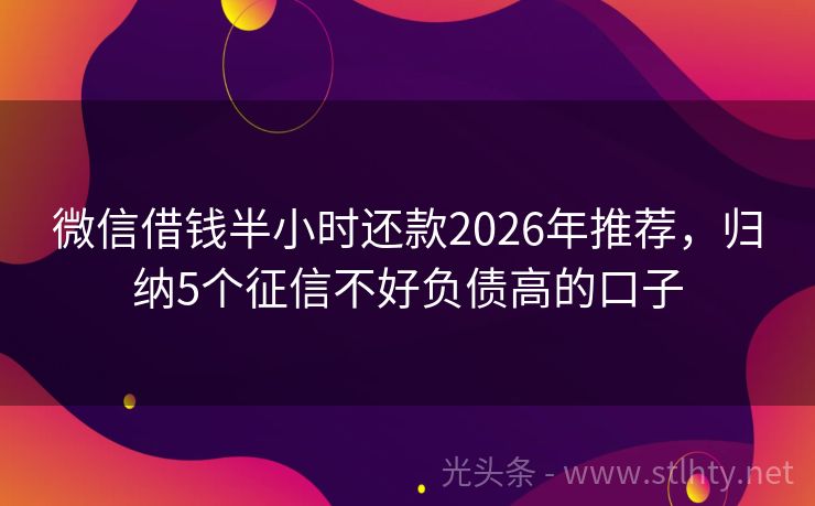 微信借钱半小时还款2026年推荐，归纳5个征信不好负债高的口子