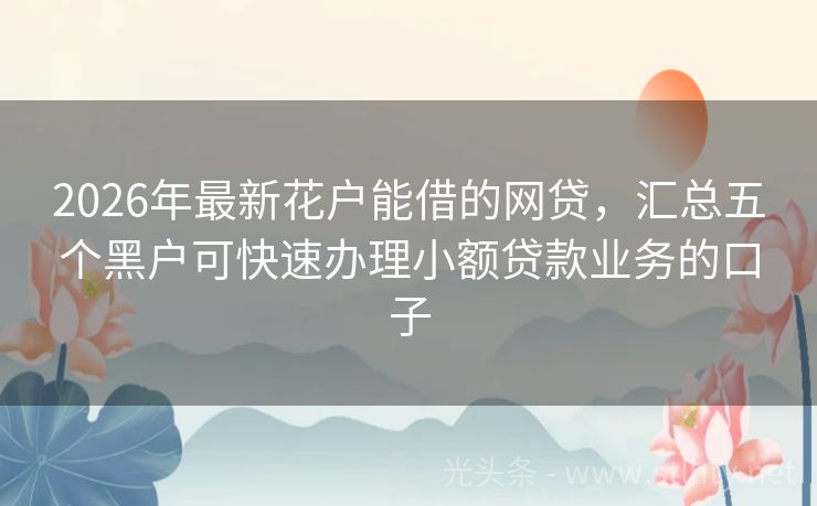 2026年最新花户能借的网贷，汇总五个黑户可快速办理小额贷款业务的口子