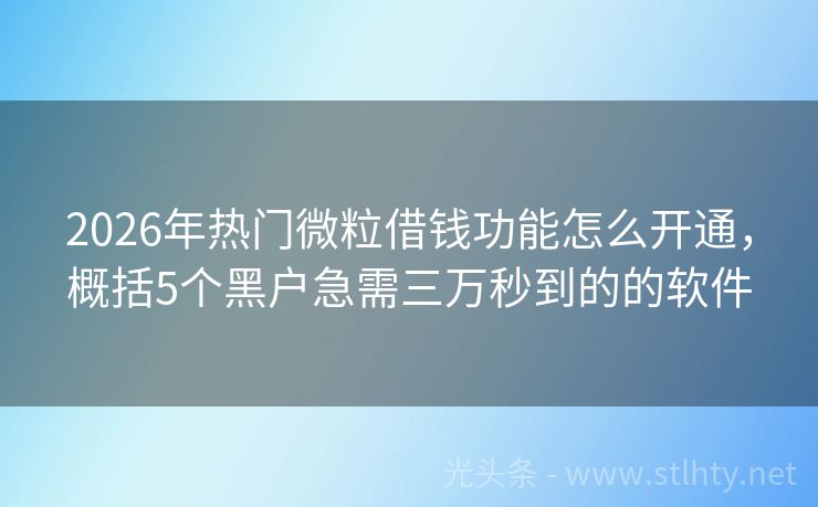 2026年热门微粒借钱功能怎么开通，概括5个黑户急需三万秒到的的软件
