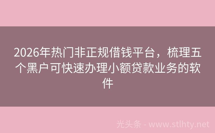 2026年热门非正规借钱平台，梳理五个黑户可快速办理小额贷款业务的软件