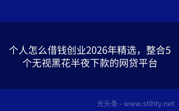 个人怎么借钱创业2026年精选，整合5个无视黑花半夜下款的网贷平台