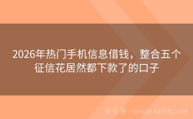 2026年热门手机信息借钱，整合五个征信花居然都下款了的口子