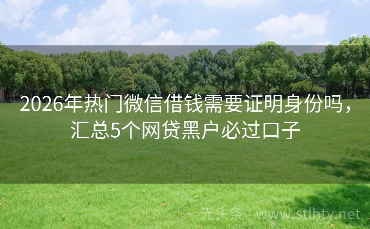 2026年热门微信借钱需要证明身份吗，汇总5个网贷黑户必过口子