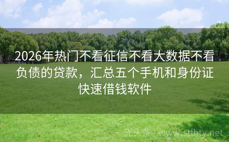 2026年热门不看征信不看大数据不看负债的贷款，汇总五个手机和身份证快速借钱软件