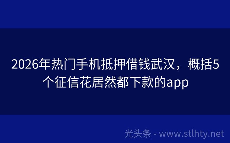 2026年热门手机抵押借钱武汉，概括5个征信花居然都下款的app