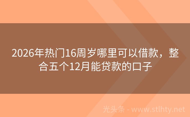 2026年热门16周岁哪里可以借款，整合五个12月能贷款的口子