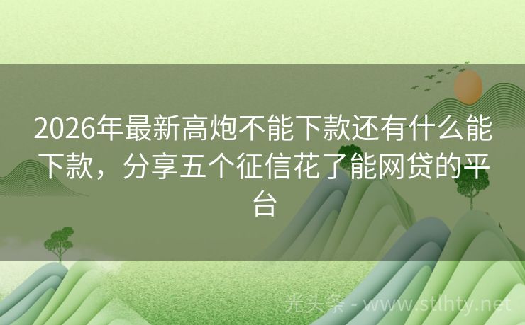 2026年最新高炮不能下款还有什么能下款，分享五个征信花了能网贷的平台