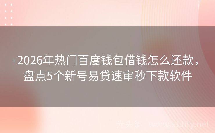2026年热门百度钱包借钱怎么还款，盘点5个新号易贷速审秒下款软件