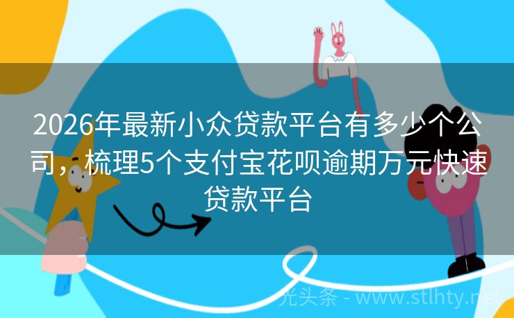 2026年最新小众贷款平台有多少个公司，梳理5个支付宝花呗逾期万元快速贷款平台
