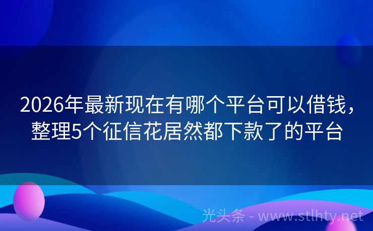 2026年最新现在有哪个平台可以借钱，整理5个征信花居然都下款了的平台