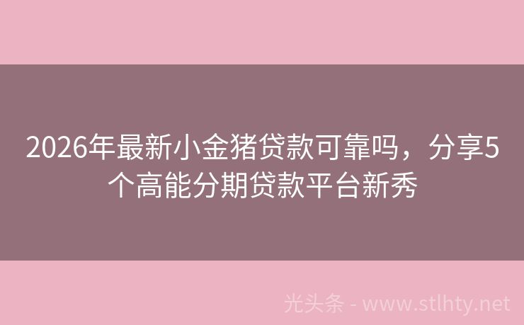 2026年最新小金猪贷款可靠吗，分享5个高能分期贷款平台新秀