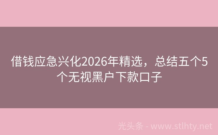 借钱应急兴化2026年精选，总结五个5个无视黑户下款口子