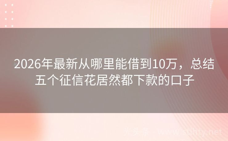 2026年最新从哪里能借到10万，总结五个征信花居然都下款的口子