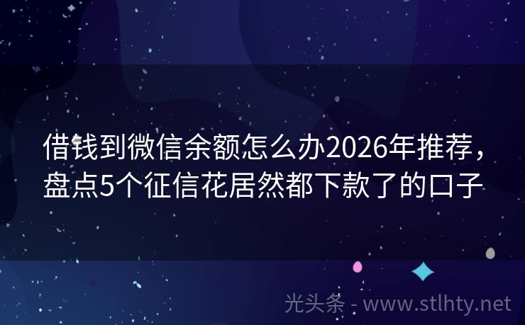 借钱到微信余额怎么办2026年推荐，盘点5个征信花居然都下款了的口子