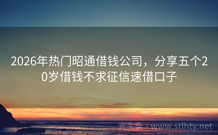 2026年热门昭通借钱公司，分享五个20岁借钱不求征信速借口子