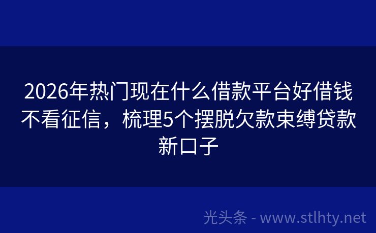 2026年热门现在什么借款平台好借钱不看征信,梳理5个摆脱欠款束缚贷款新口子