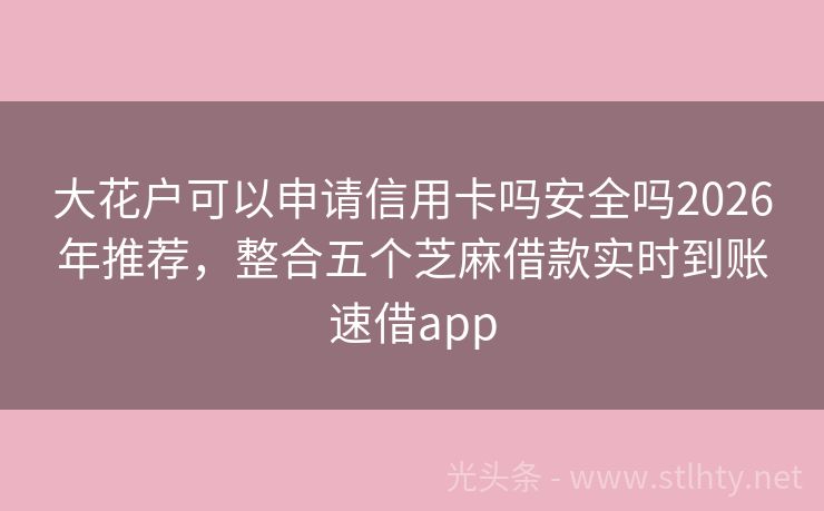 大花户可以申请信用卡吗安全吗2026年推荐，整合五个芝麻借款实时到账速借app