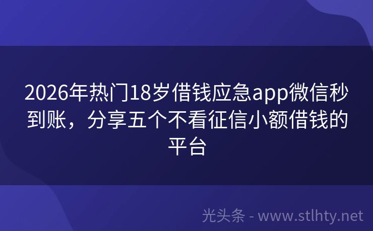 2026年热门18岁借钱应急app微信秒到账，分享五个不看征信小额借钱的平台