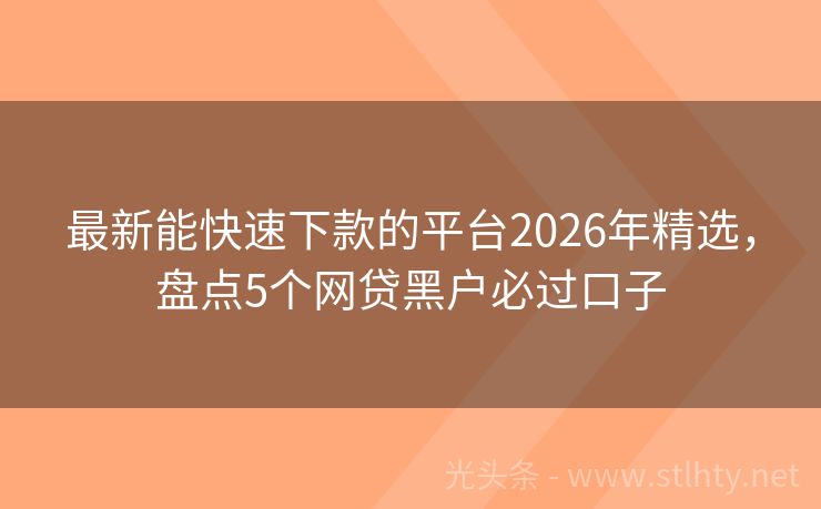 最新能快速下款的平台2026年精选，盘点5个网贷黑户必过口子