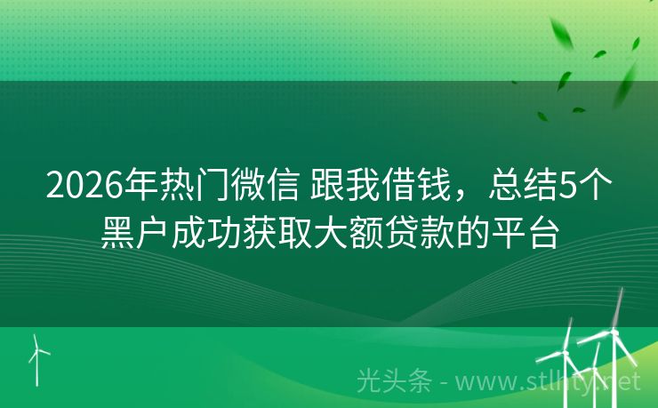 2026年热门微信 跟我借钱，总结5个黑户成功获取大额贷款的平台