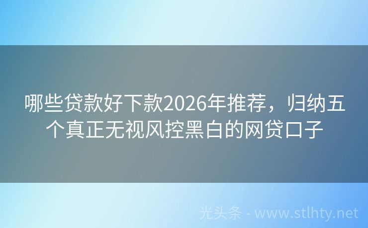 哪些贷款好下款2026年推荐，归纳五个真正无视风控黑白的网贷口子