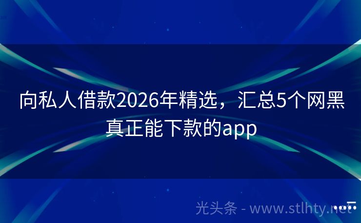 向私人借款2026年精选，汇总5个网黑真正能下款的app