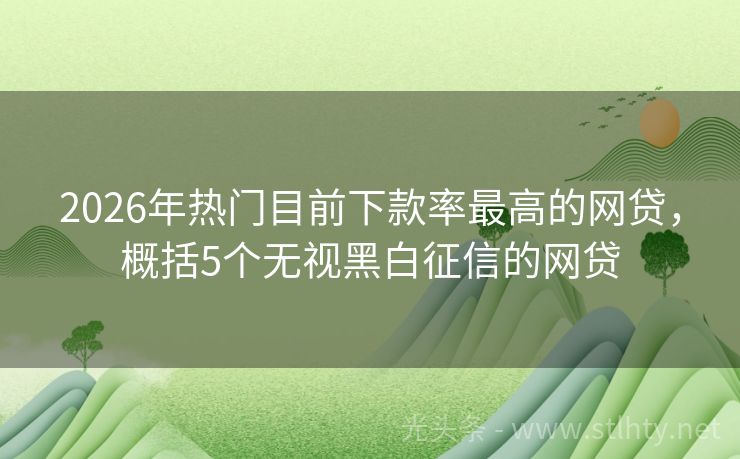 2026年热门目前下款率最高的网贷，概括5个无视黑白征信的网贷