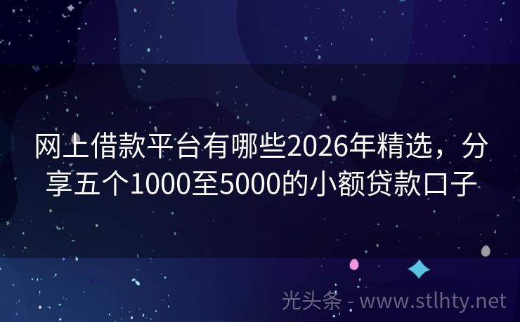 网上借款平台有哪些2026年精选，分享五个1000至5000的小额贷款口子
