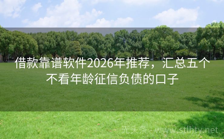 借款靠谱软件2026年推荐，汇总五个不看年龄征信负债的口子