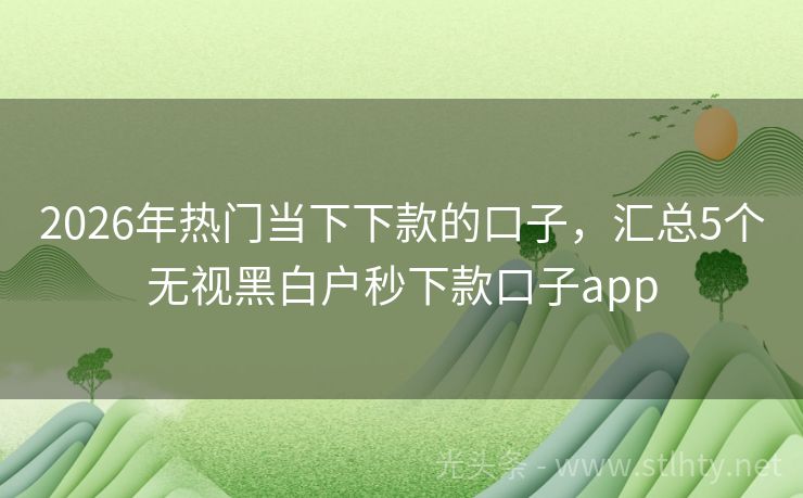 2026年热门当下下款的口子，汇总5个无视黑白户秒下款口子app