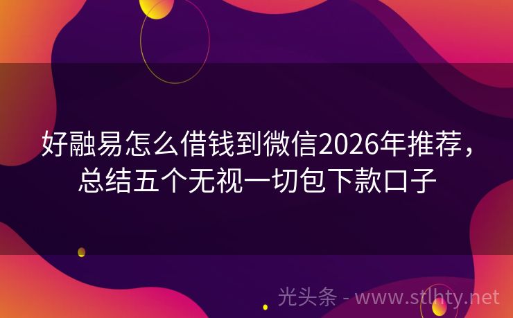 好融易怎么借钱到微信2026年推荐，总结五个无视一切包下款口子