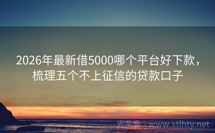 2026年最新借5000哪个平台好下款，梳理五个不上征信的贷款口子