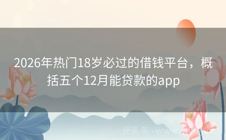 2026年热门18岁必过的借钱平台，概括五个12月能贷款的app