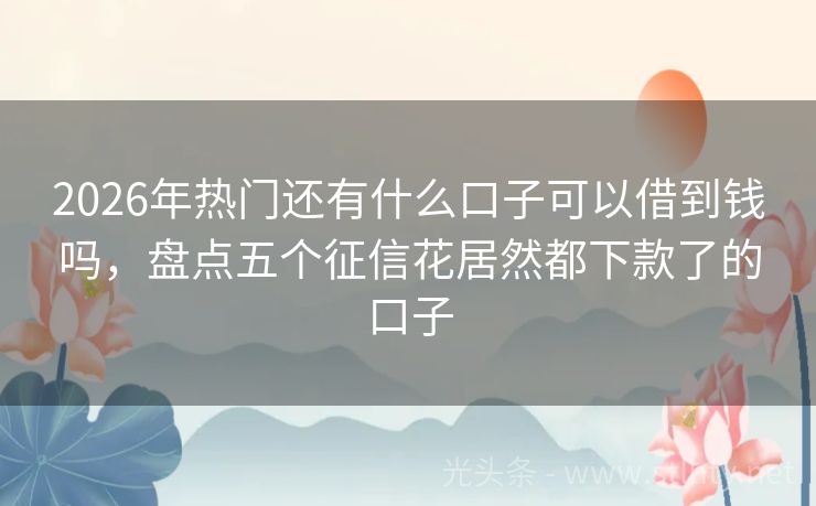 2026年热门还有什么口子可以借到钱吗，盘点五个征信花居然都下款了的口子