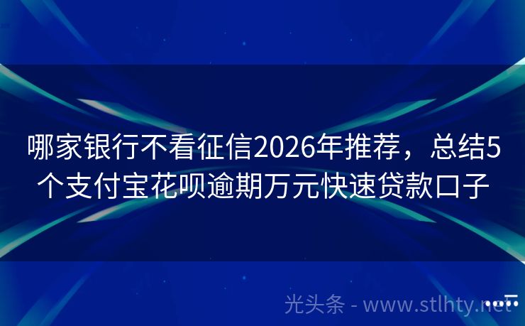 哪家银行不看征信2026年推荐，总结5个支付宝花呗逾期万元快速贷款口子