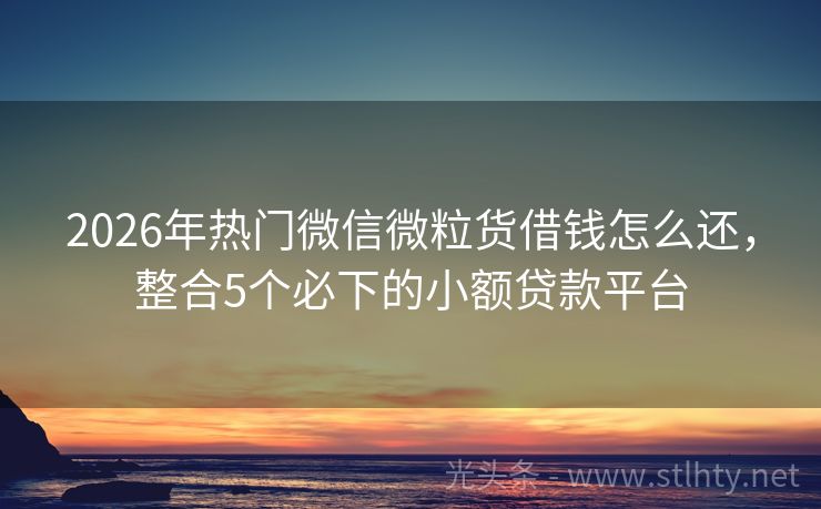 2026年热门微信微粒货借钱怎么还，整合5个必下的小额贷款平台