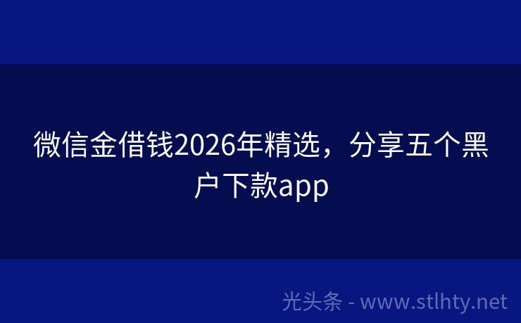微信金借钱2026年精选，分享五个黑户下款app