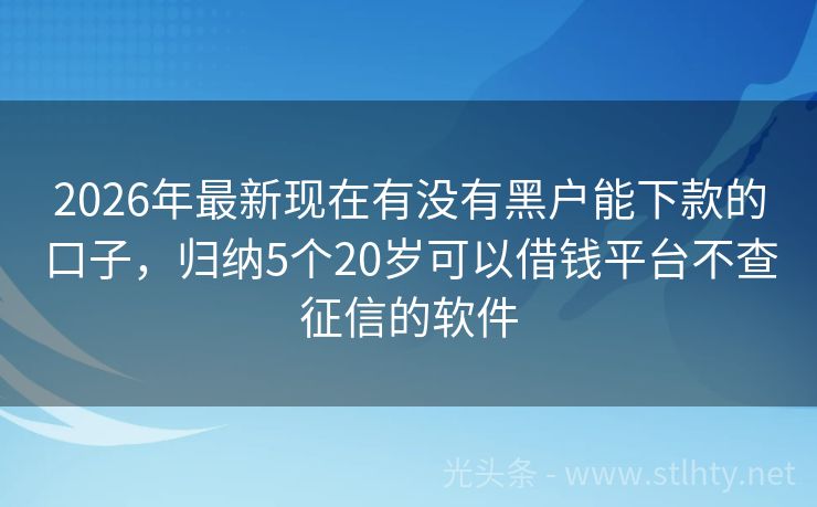 2026年最新现在有没有黑户能下款的口子，归纳5个20岁可以借钱平台不查征信的软件